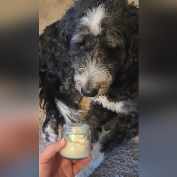 Ground & Guard Paw Balm - Picture 3 of 4